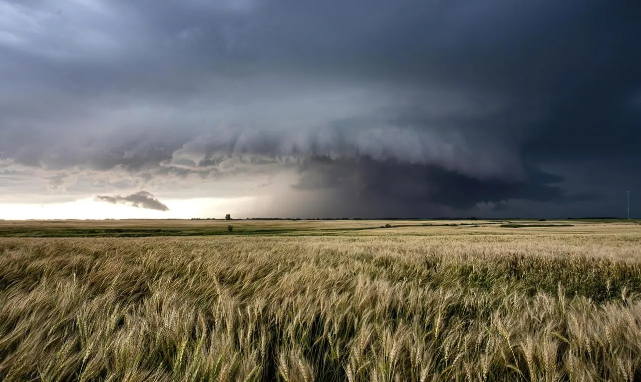 a imagem mostra o avan&ccedil;o de uma chuva intensa em uma determinada &aacute;rea